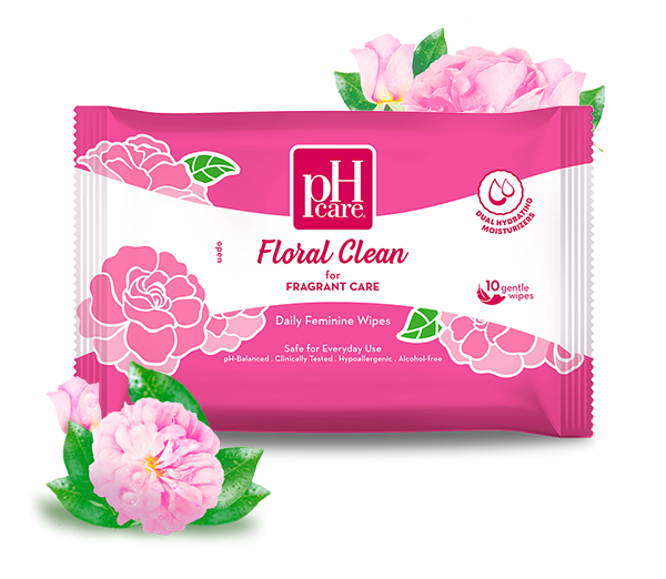 (Case) PH CARE FC250ML+NP WIPES