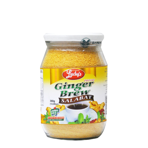 LUDYS GINGER BREW 360G